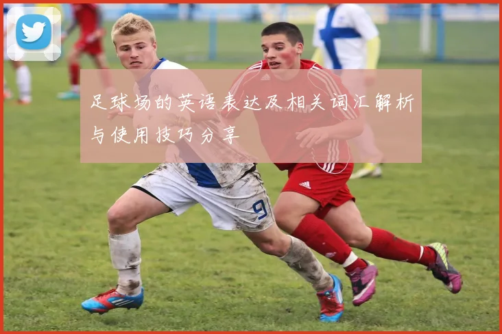 足球场的英语表达及相关词汇解析与使用技巧分享