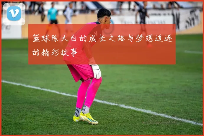 篮球陈大白的成长之路与梦想追逐的精彩故事