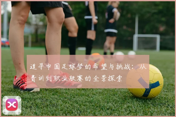 追寻中国足球梦的希望与挑战：从青训到职业联赛的全景探索