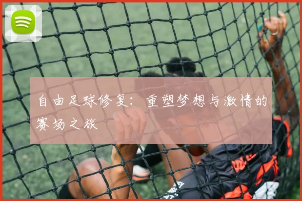 自由足球修复：重塑梦想与激情的赛场之旅