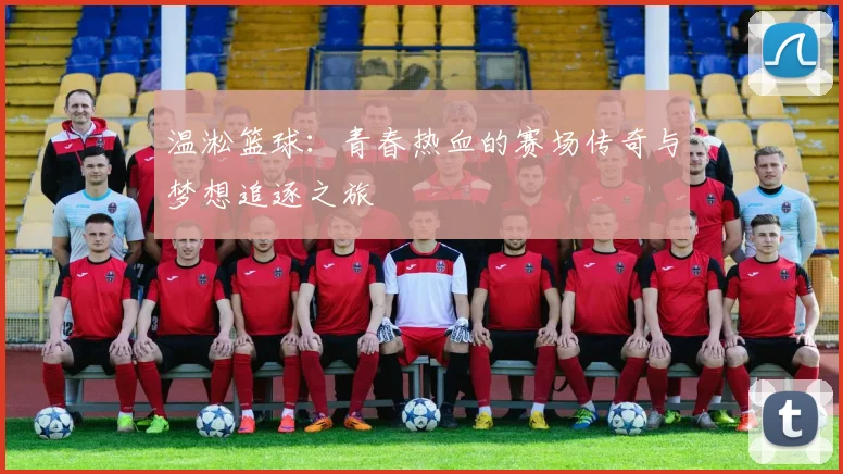 温淞篮球：青春热血的赛场传奇与梦想追逐之旅