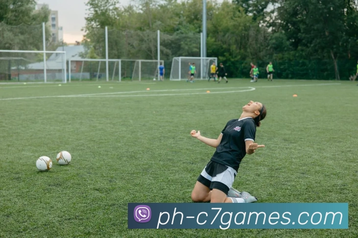 c7平台服务体系